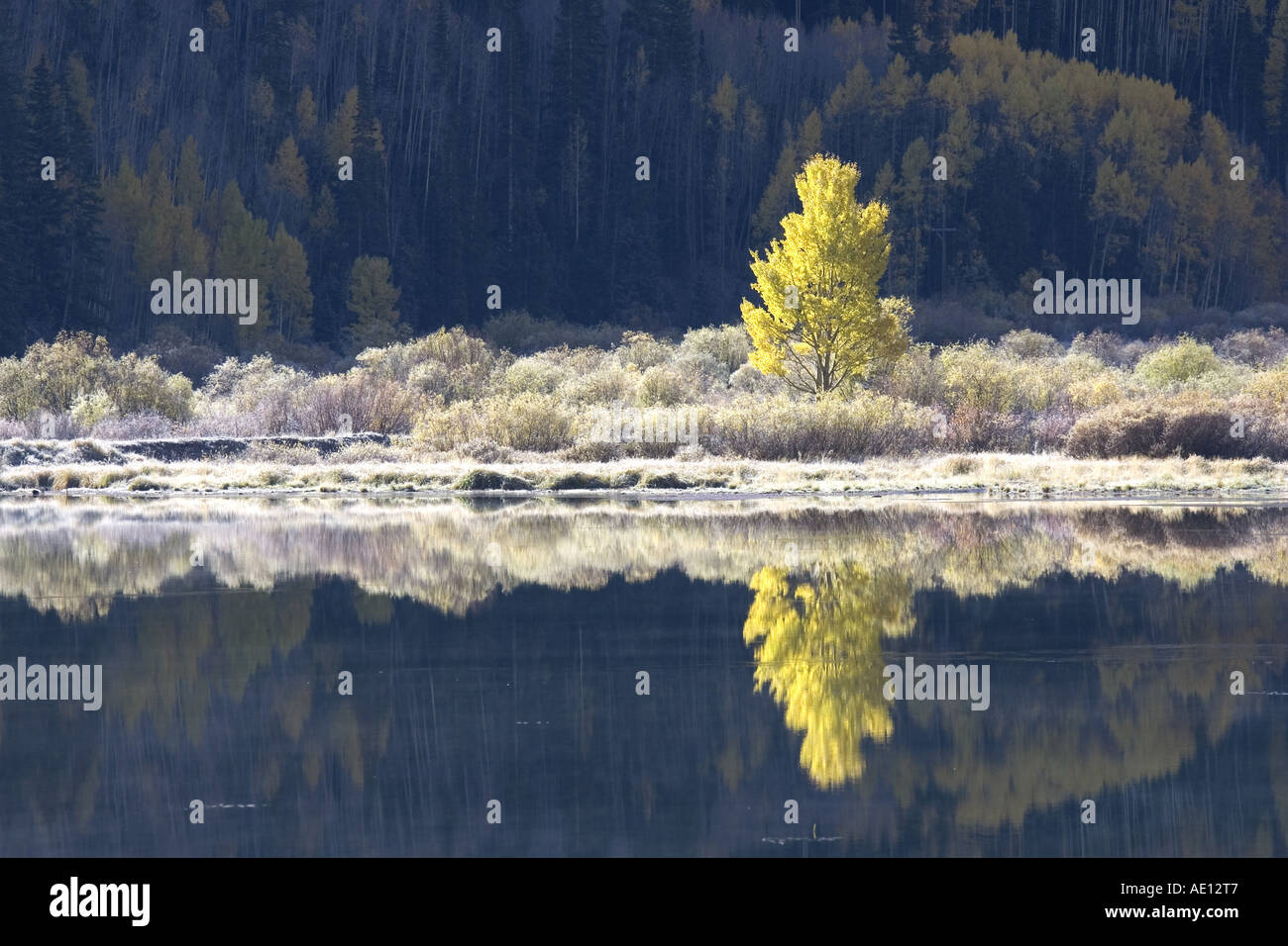 Colorado USA Herbst Stockfoto