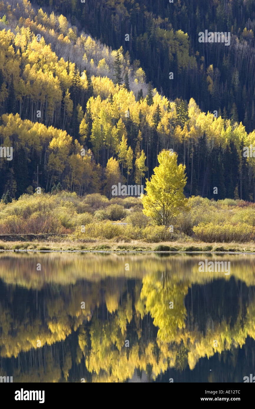 Colorado USA Herbst Stockfoto