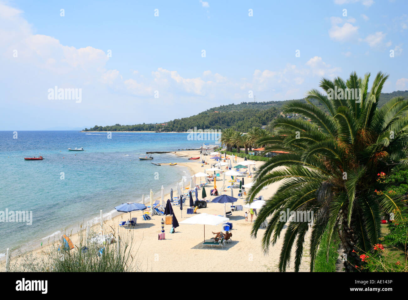 Strand von Camping Castello in der Nhe von Lagomandra Beach auf Sithonia  Halbinsel auf der Halbinsel Chalkidiki in Griechenland Stockfotografie -  Alamy