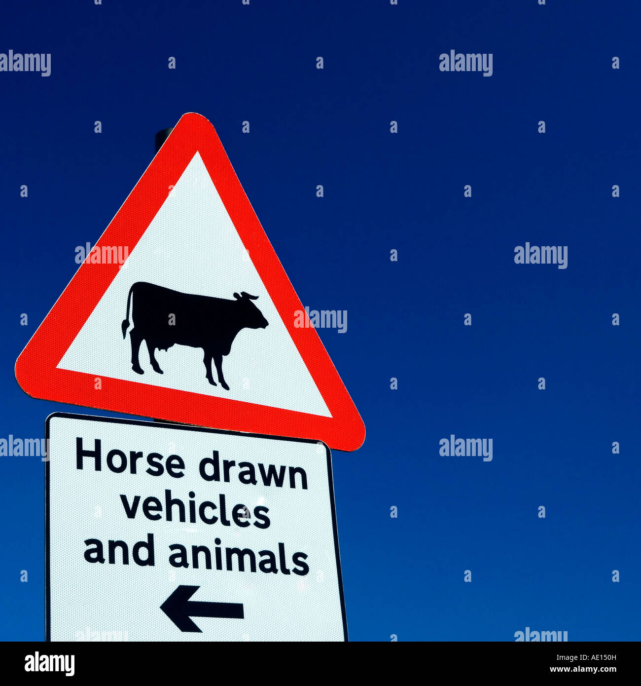 Pferd gezogene Fahrzeuge und Tiere Zeichen gesehen auf der Spur der Gräben bei Fairdean Downs in der Nähe von Coulsdon Surrey England UK O Iwantschenko Stockfoto