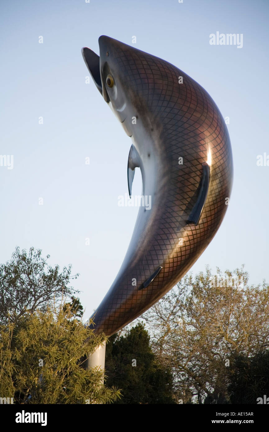 RAKAIA SÜDINSEL Neuseeland kann eine Statue von einem springenden Lachs, die der wichtigste Wirtschaftszweig der Stadt zeigt Stockfoto