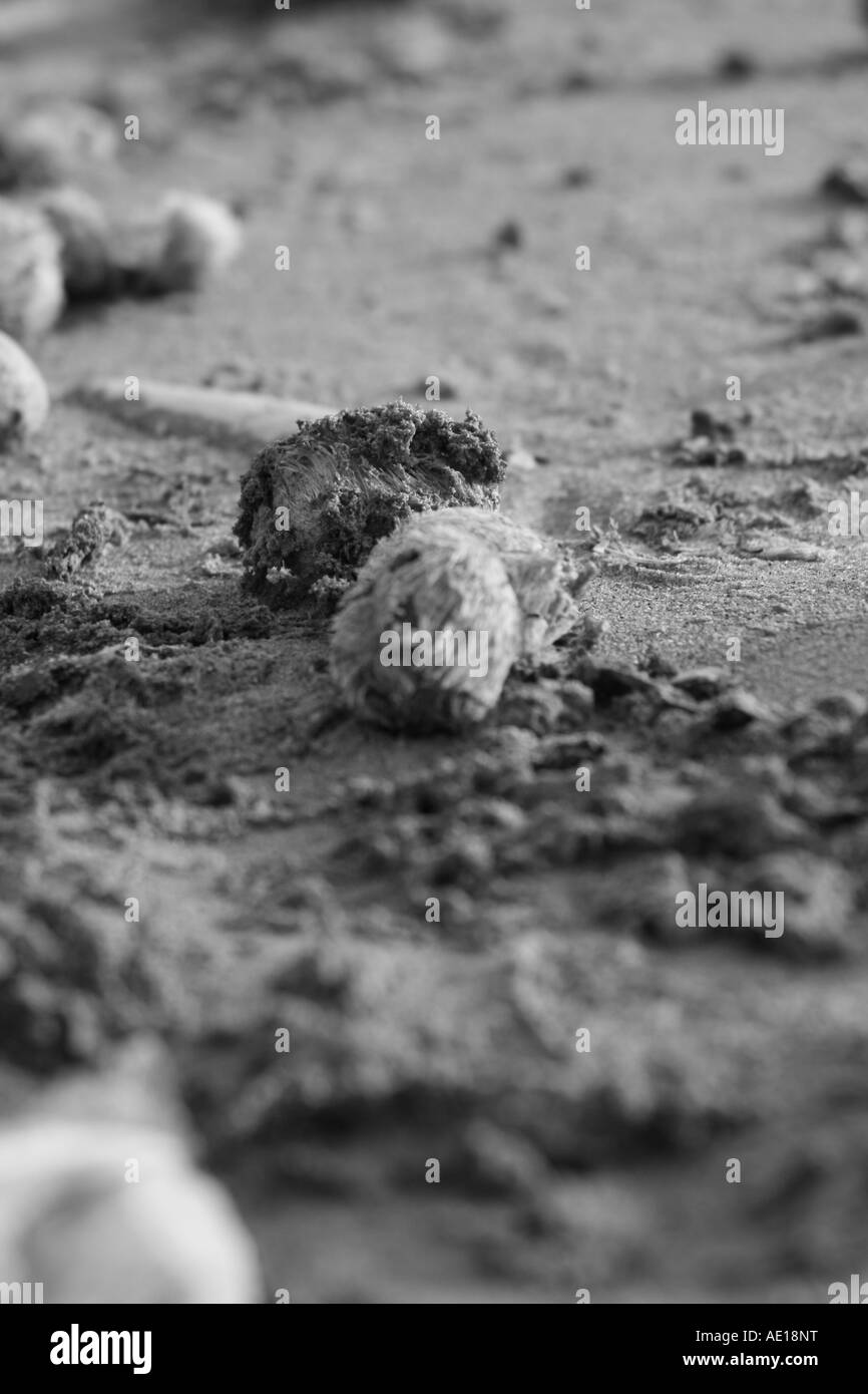 Strand, schwarzen und weißen Sand, nach der Flut erloschen Stockfoto