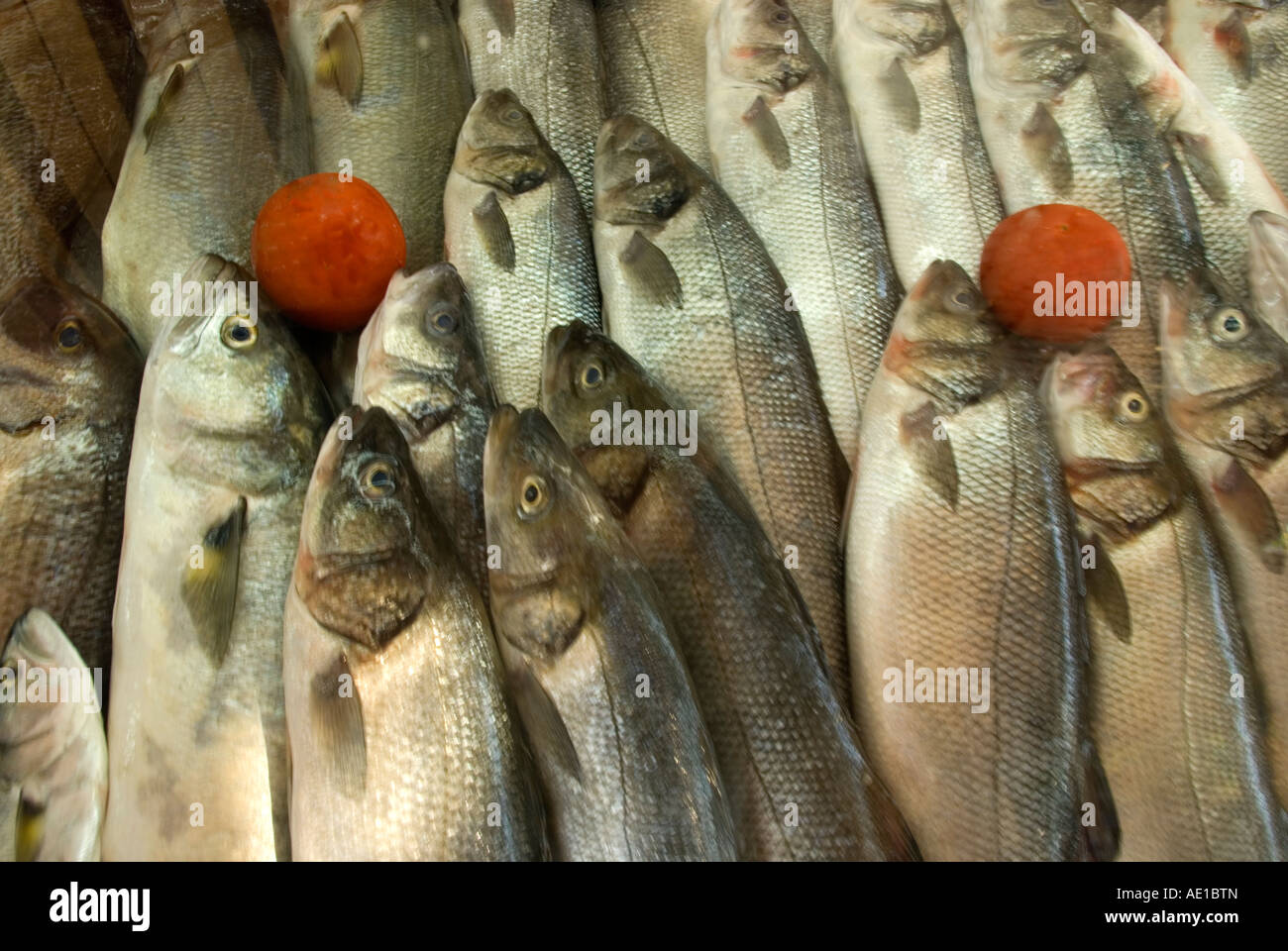 Frischer Fisch zum Verkauf an Wasser Markt in Kusadasi, Türkei Stockfoto