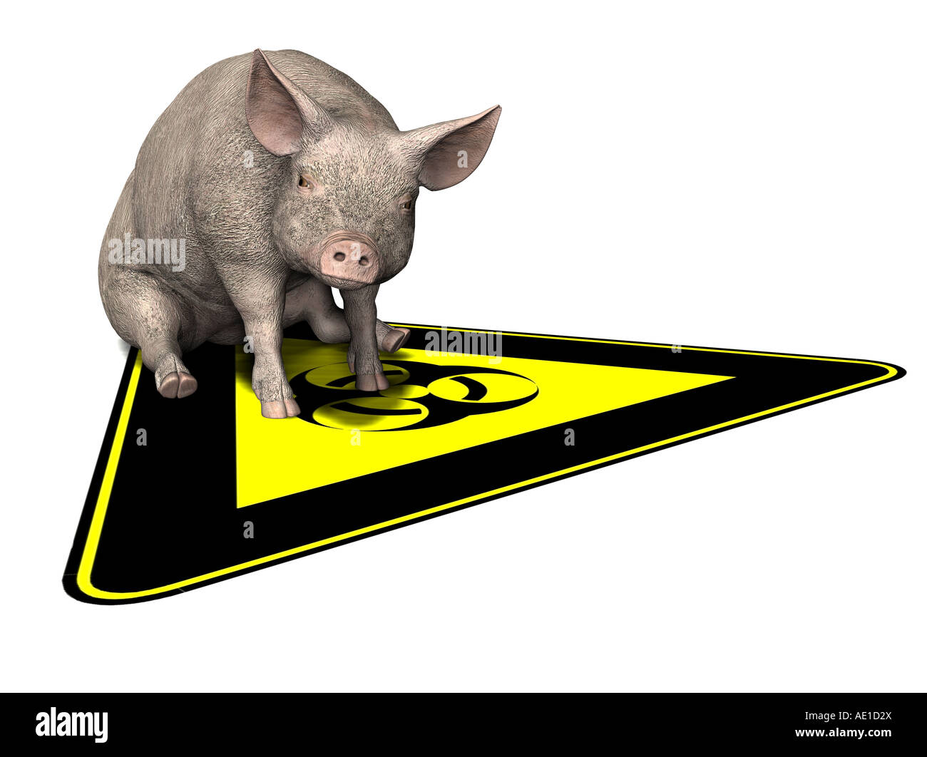 symbolisches Bild für Epidemie Pest auf Schweine Stockfoto