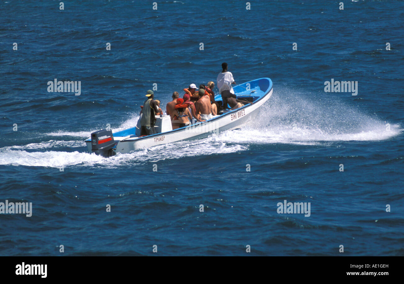 Humpback Whale watching Boot Halbinsel Samana Dominikanische Republik Stockfoto