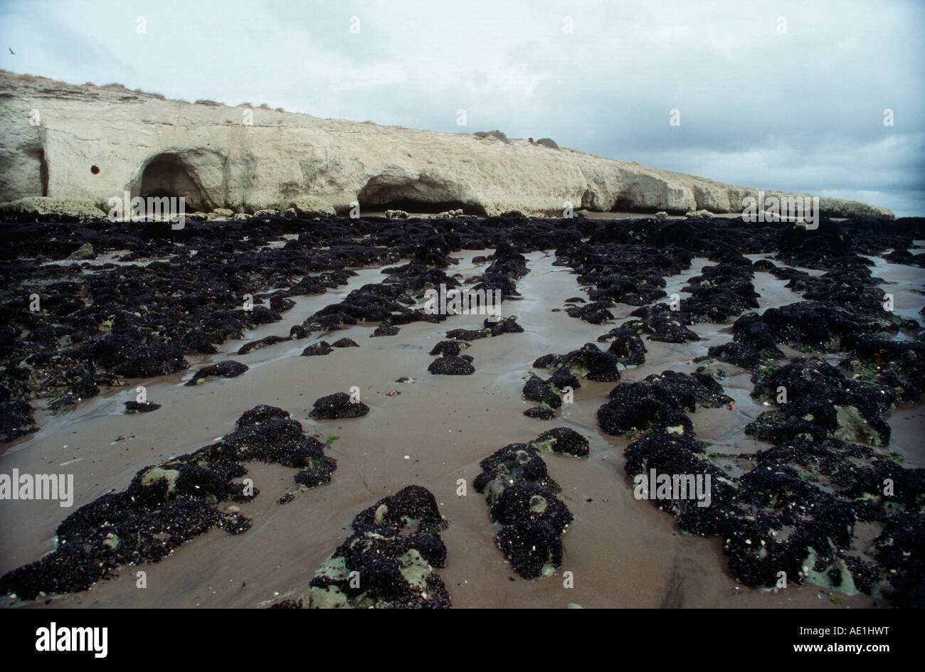 Puerto Madryn, Patagonien, Argentinien wo landete die erste walisische Siedler in 1865 Leben in den Höhlen in den Felsen. Stockfoto