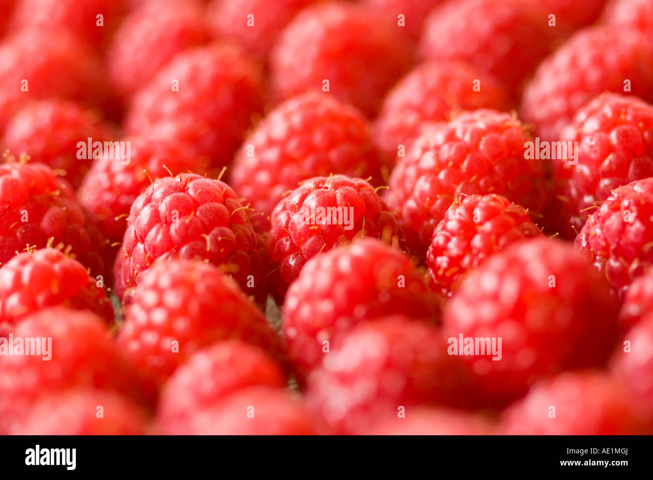 Raspeberries zum Verkauf Stockfoto