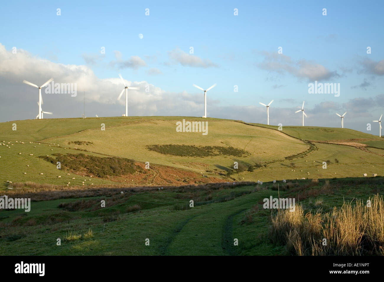 Ländliche Hügel mit einer Reihe von Windturbinen und Weideflächen Schafe gegen einen blauen Himmel mit etwas Wolke und die mond Stockfoto