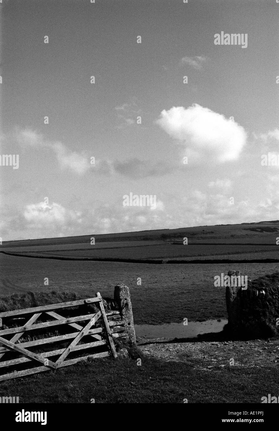 Schwarz / weiß Foto von englischen Felder mit einer offenen Holztor in der Nähe von St Ives Bay Cornwall Mai Stockfoto