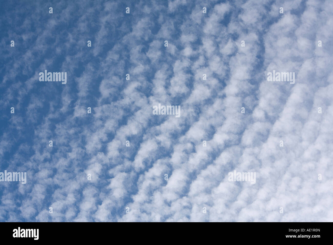 Altocumulus Wolkenformationen vor einem blauen Himmel Hintergrund gesetzt Stockfoto