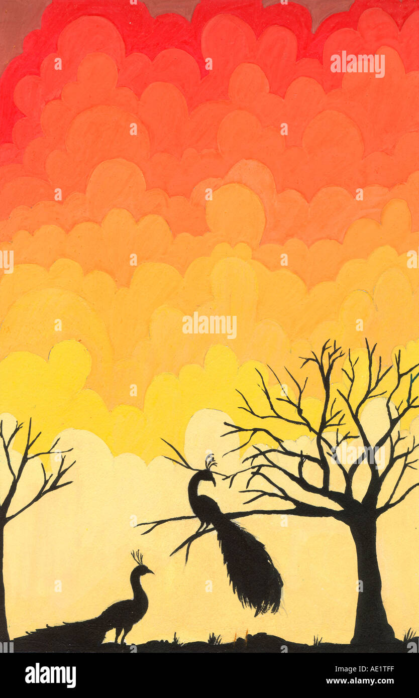 ARS71013 Malerei Illustration Zeichnung Farbe der Pfau sitzt auf einem Baum Sonnenuntergang Zeit Indien Stockfoto