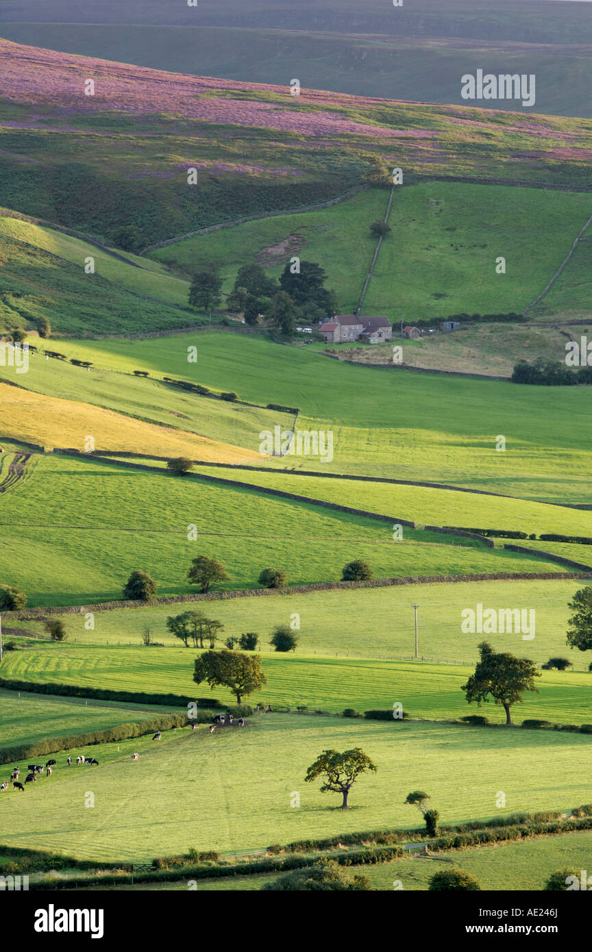 In der Nähe von Danby Esk Dale North Yorkshire England Stockfoto