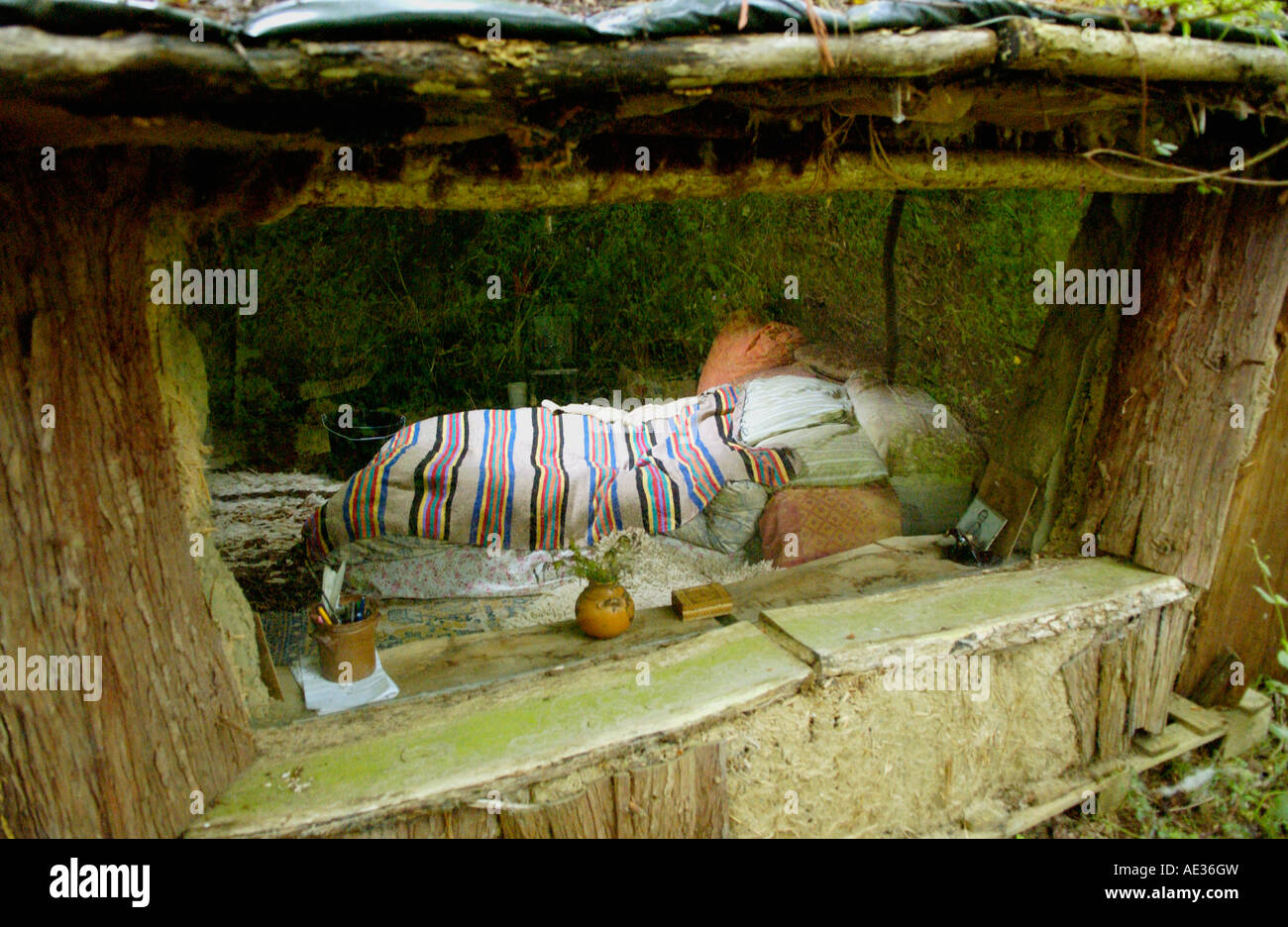 Zimmer im geringen Auswirkungen von Tony Wrench am Brithdir Mawr Pembrokeshire West Wales UK EU Roundhouse gebaut Stockfoto