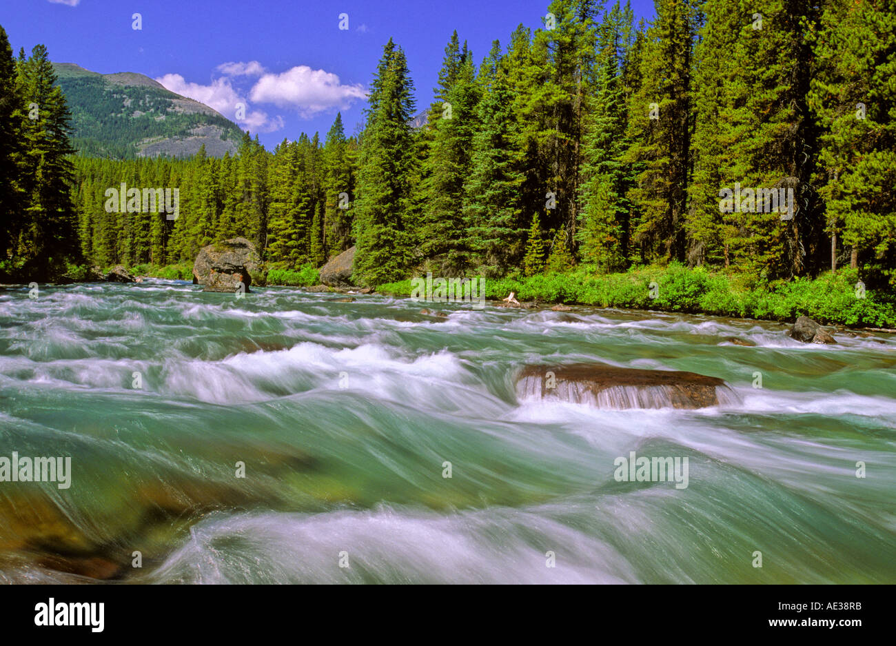 Maligne River Stockfoto