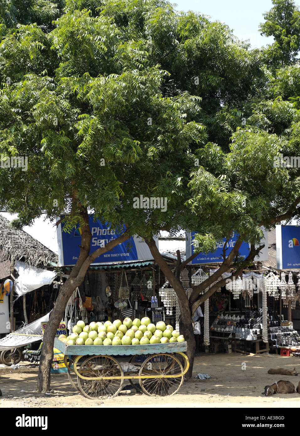 Früchte zum Verkauf an Mahabalipuram Stockfoto