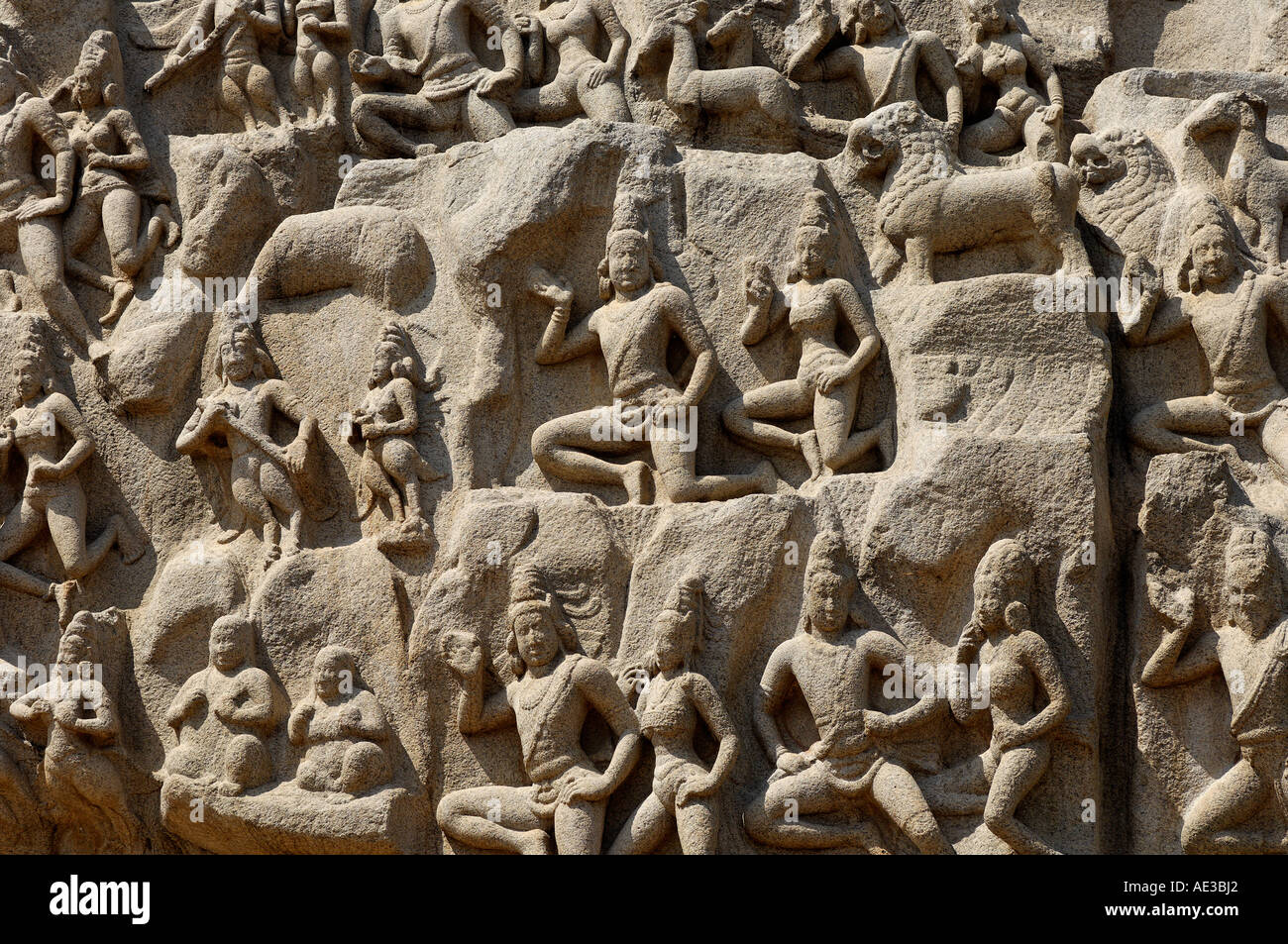 Mahabalipuram Felsen Schnitzen von alten Geschichten und Legenden. Stockfoto