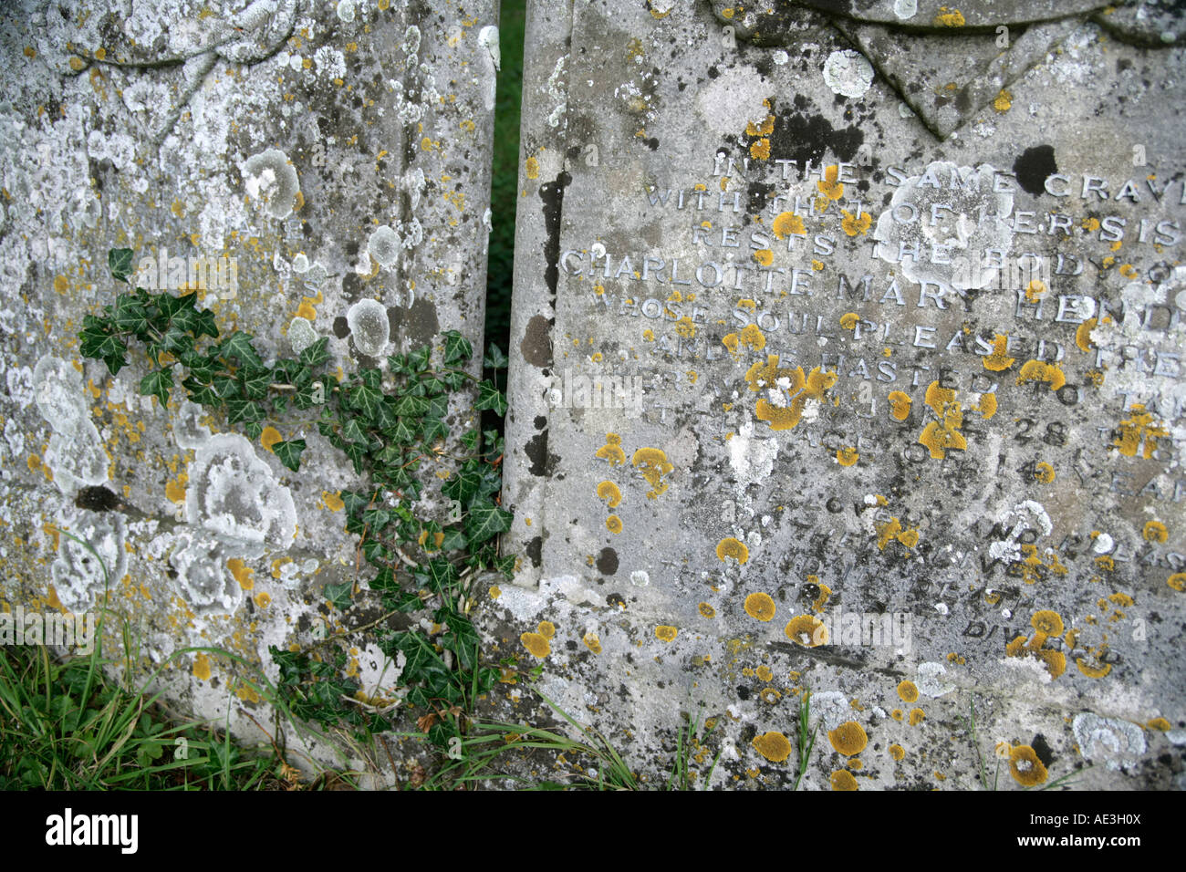 Ivy und Flechten wachsen auf Grabsteine auf dem Friedhof der Pfarrkirche bei Messing Essex England UK Stockfoto