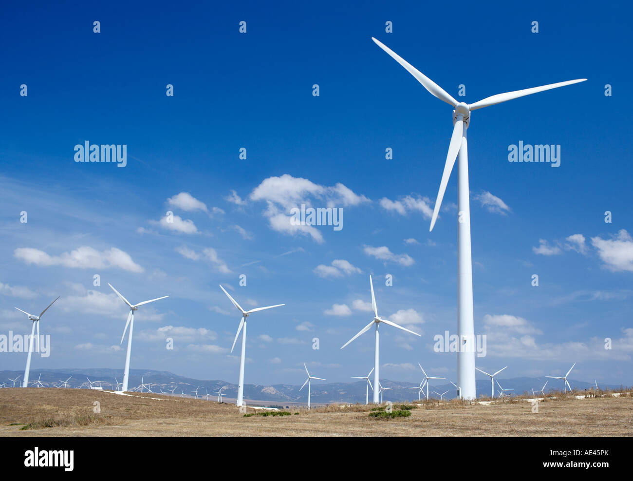 Windmühlen, Tarifa, Costa De La Luz, Provinz Cadiz, Andalusien (Andalusien), Spanien, Europa Stockfoto