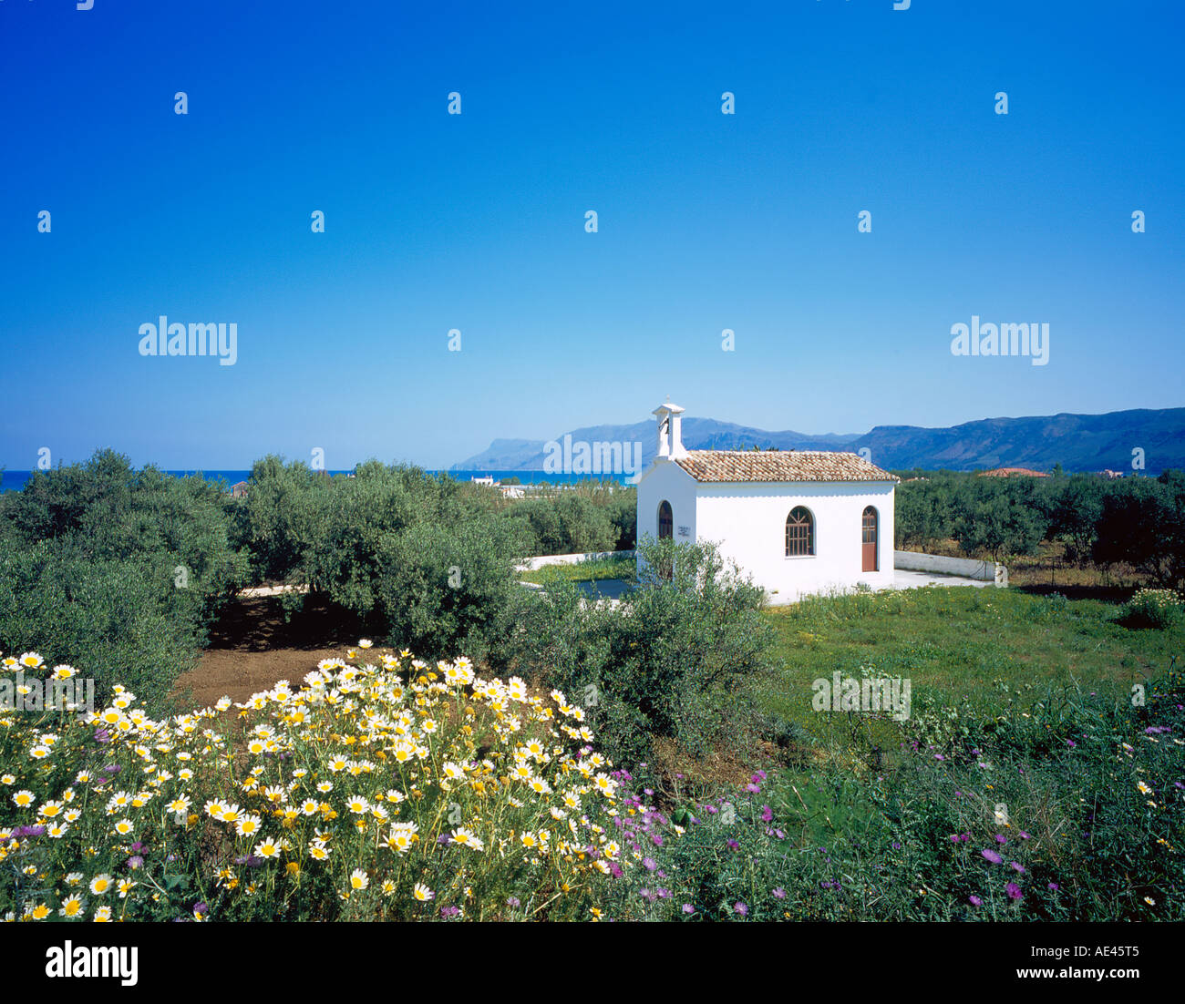 am Straßenrand Kapelle auf der Insel Kreta in der Nähe von Kastelli, Griechenland, Europa. Foto: Willy Matheisl Stockfoto