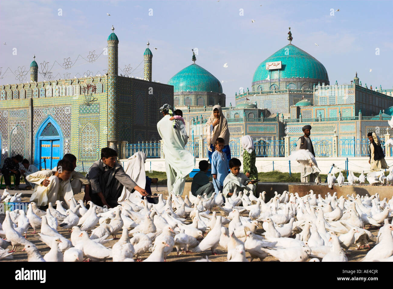 Menschen, die Fütterung berühmten weißen Tauben am Schrein von Hazrat Ali, Mazar-I-Sharif, Afghanistan, Asien Stockfoto