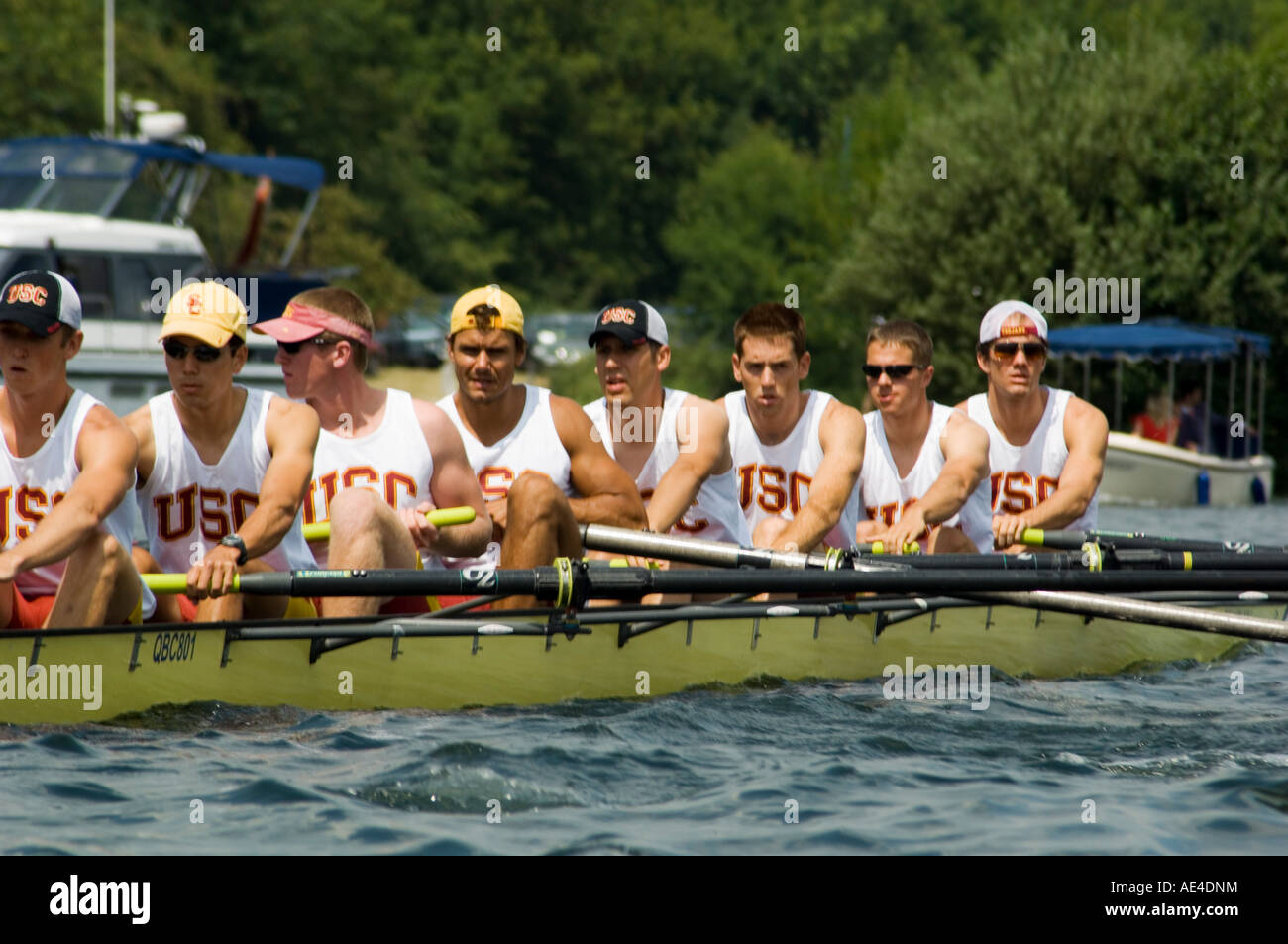 Rudern auf der Henley Royal Regatta, Henley on Thames, England, Vereinigtes Königreich, Europa Stockfoto