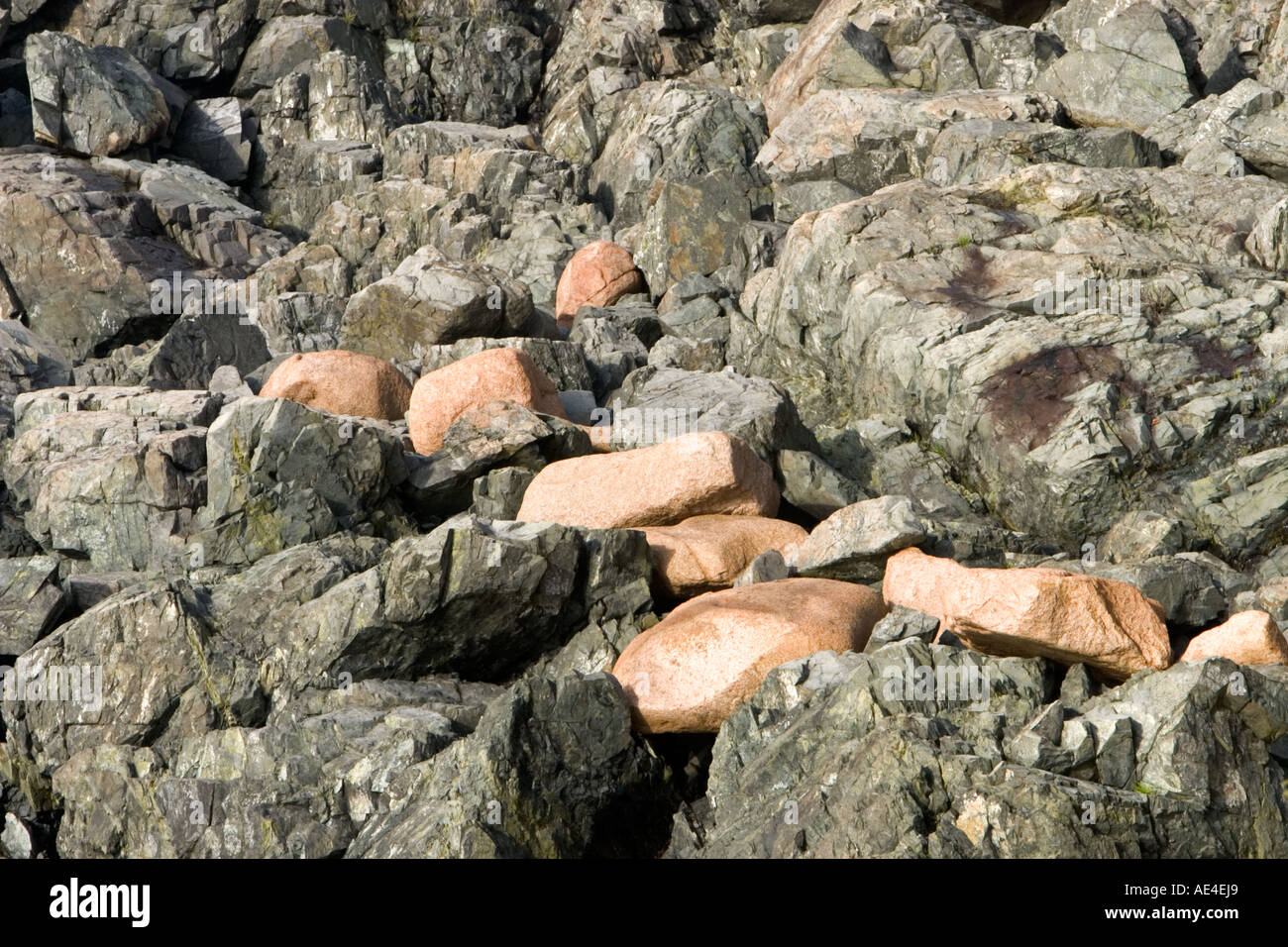 Felsbrocken in der Nähe von Otter Point, Acadia National Park, Maine Stockfoto