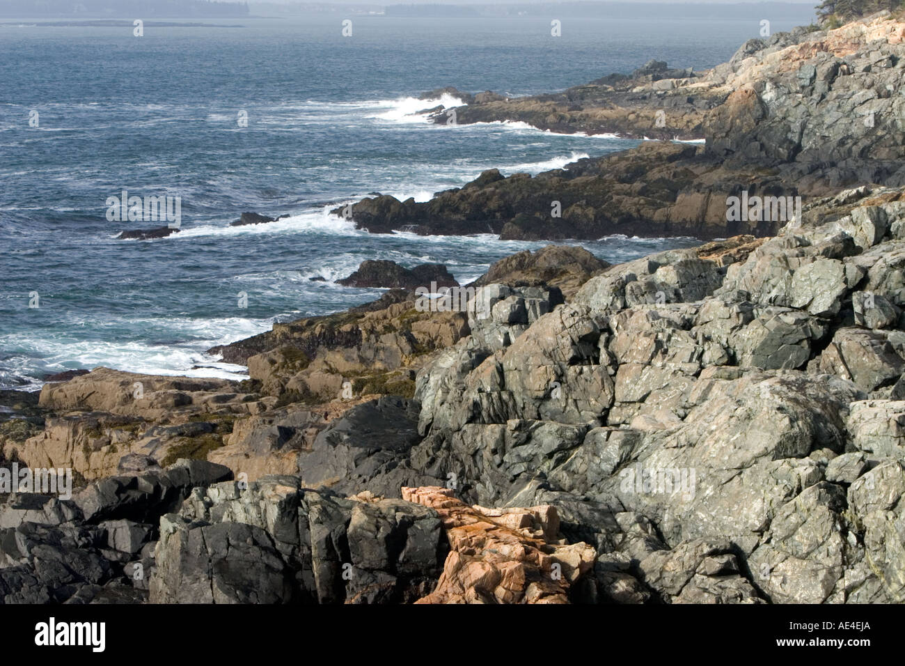Atlantische Küste in der Nähe von Otter Point, Acadia National Park, Maine Stockfoto
