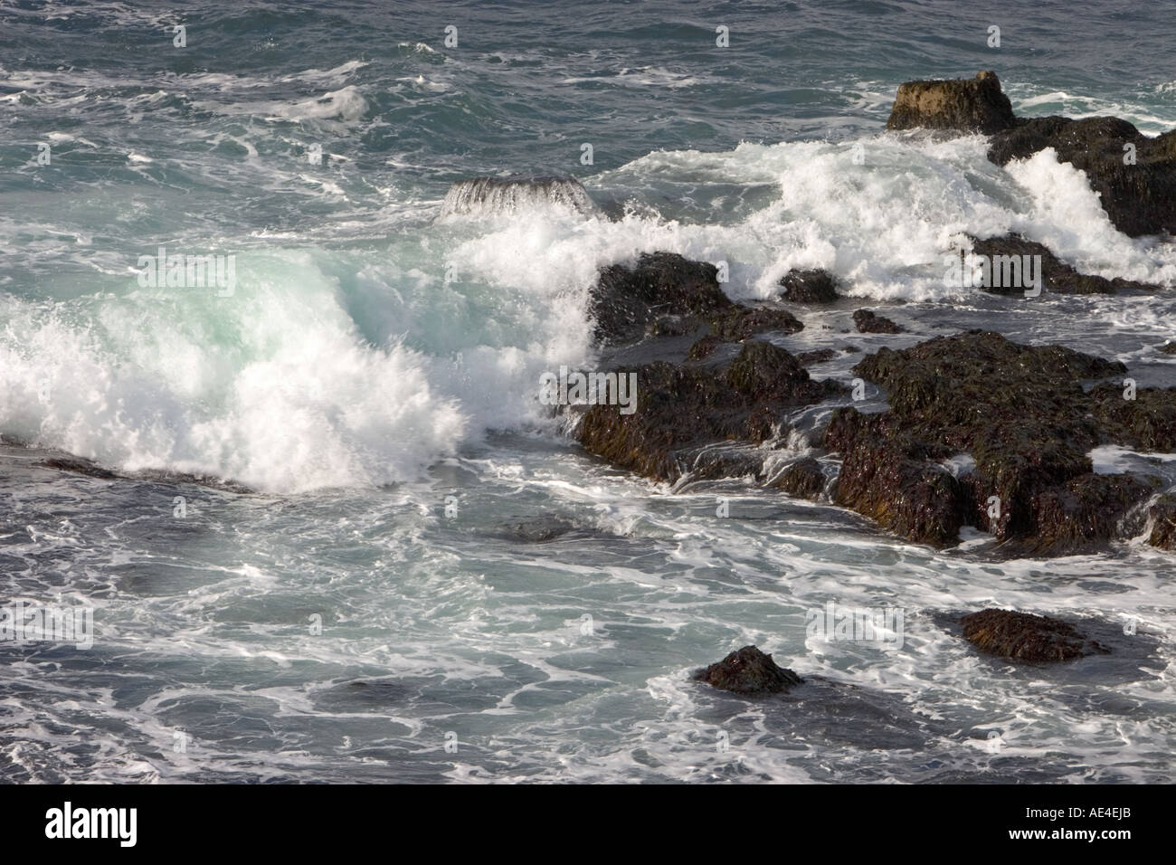 Wellen des Ozeans entlang der atlantischen Küste Stockfoto