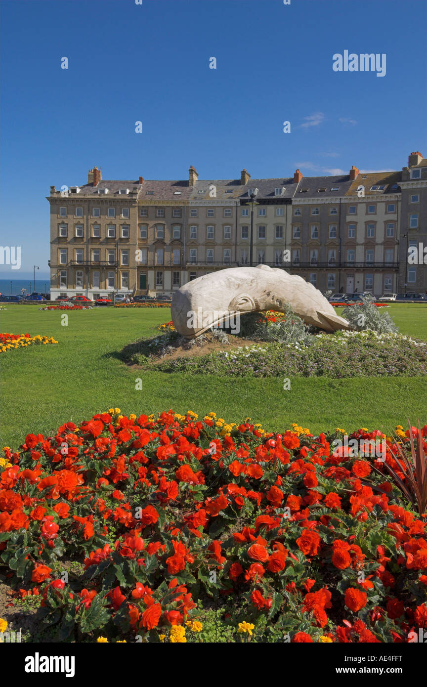 Blumenbeete an der Royal Crescent, direkt am Meer, Whitby, North Yorkshire, Yorkshire, England, Vereinigtes Königreich, Europa Stockfoto