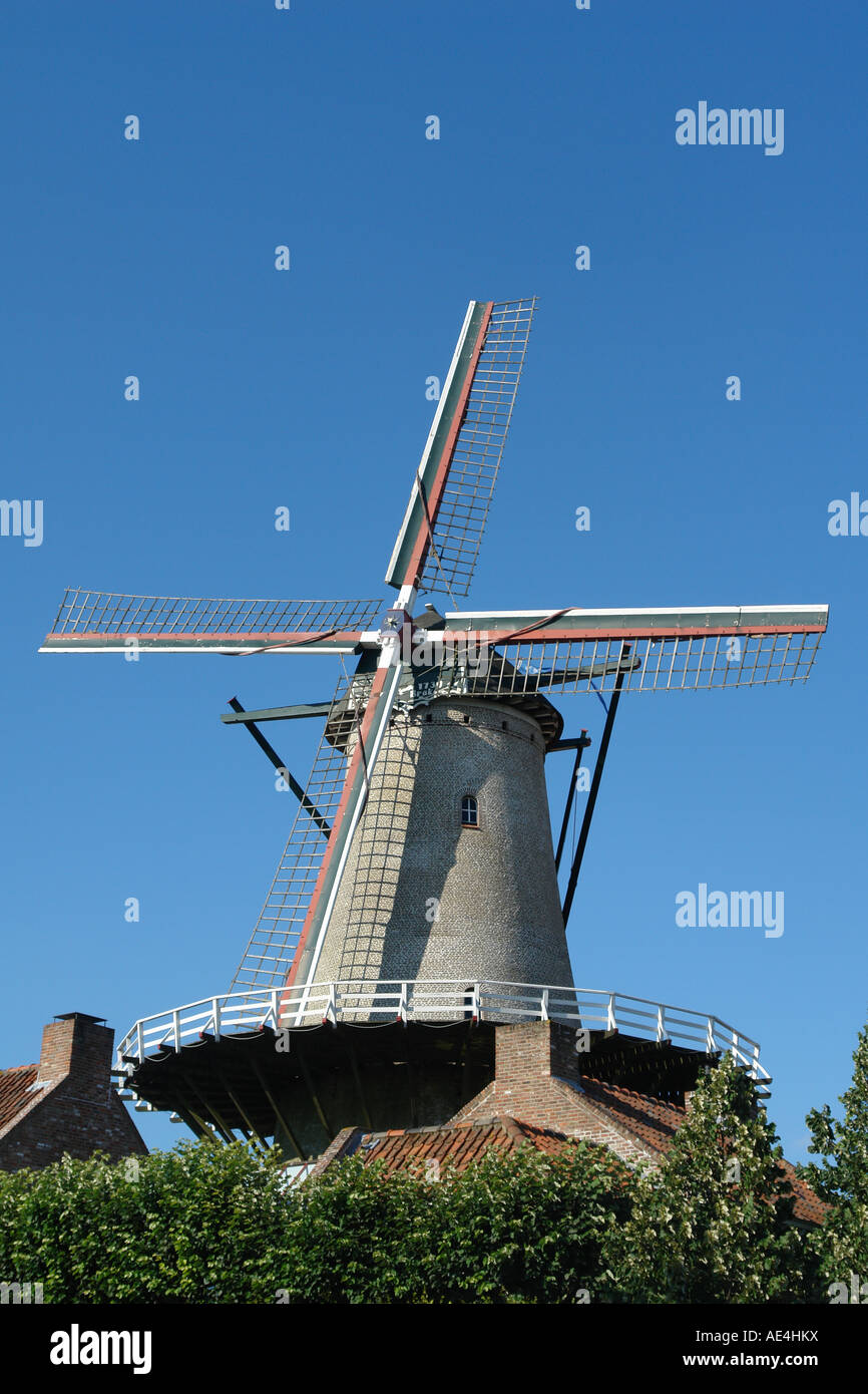 Windmühle von Sluis (Nederland) Stockfoto