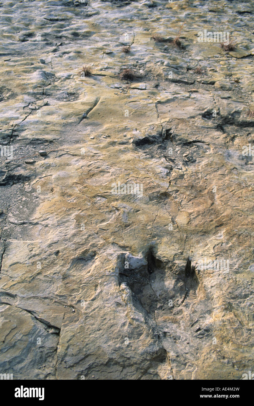 Dinosaurier Trackway, Clayton See-Nationalpark, Clayton, New Mexico, Vereinigte Staaten von Amerika, Nordamerika Stockfoto