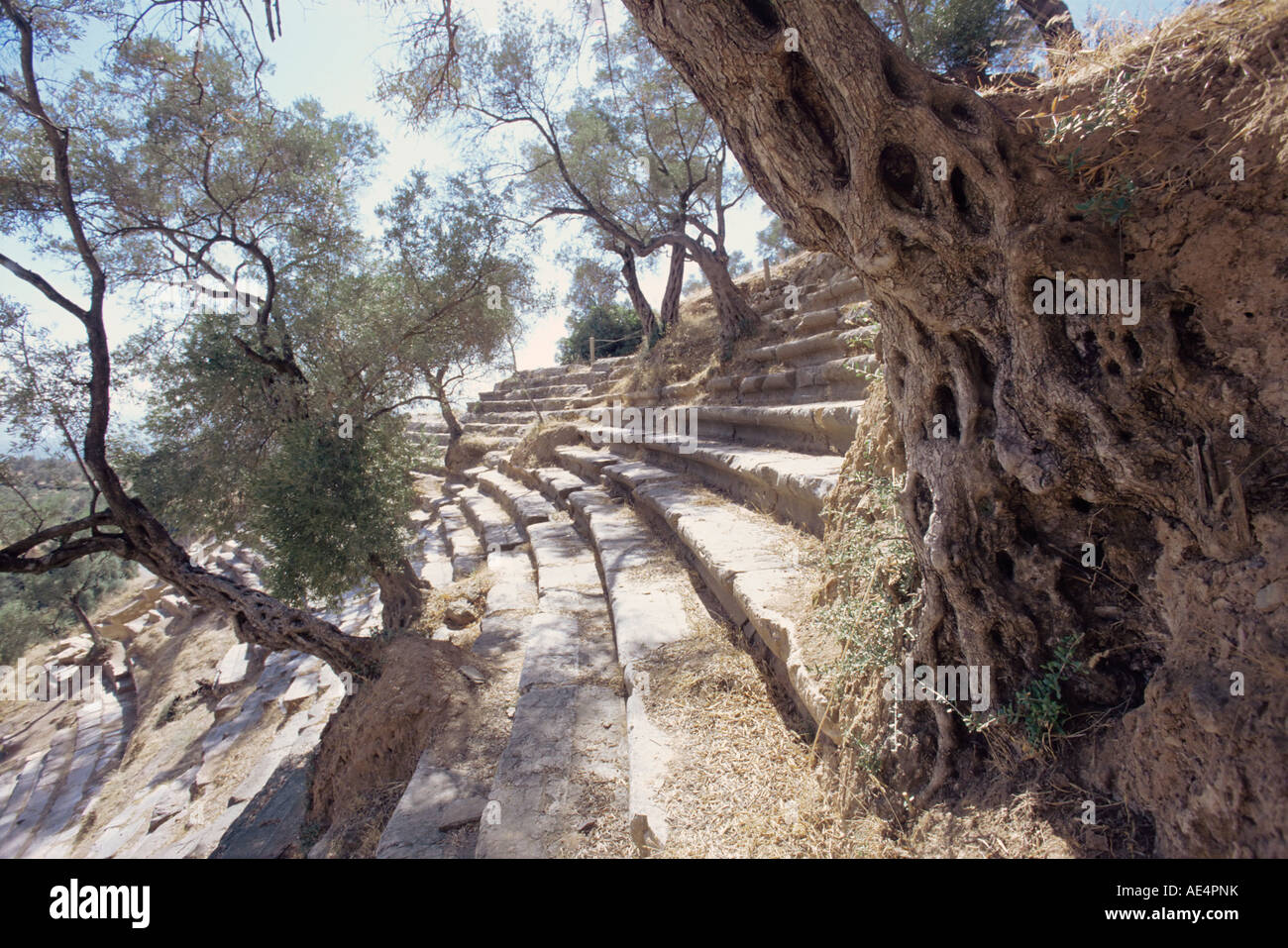 Römisches Theater, Nyasa, Türkei, Eurasien Stockfoto