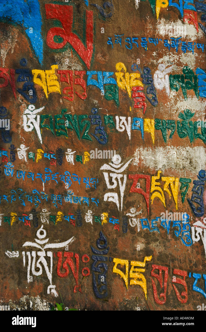 Mani Stein Detail, McLeod Ganj, Dharamsala, Bundesstaat Himachal Pradesh, Indien, Asien Stockfoto
