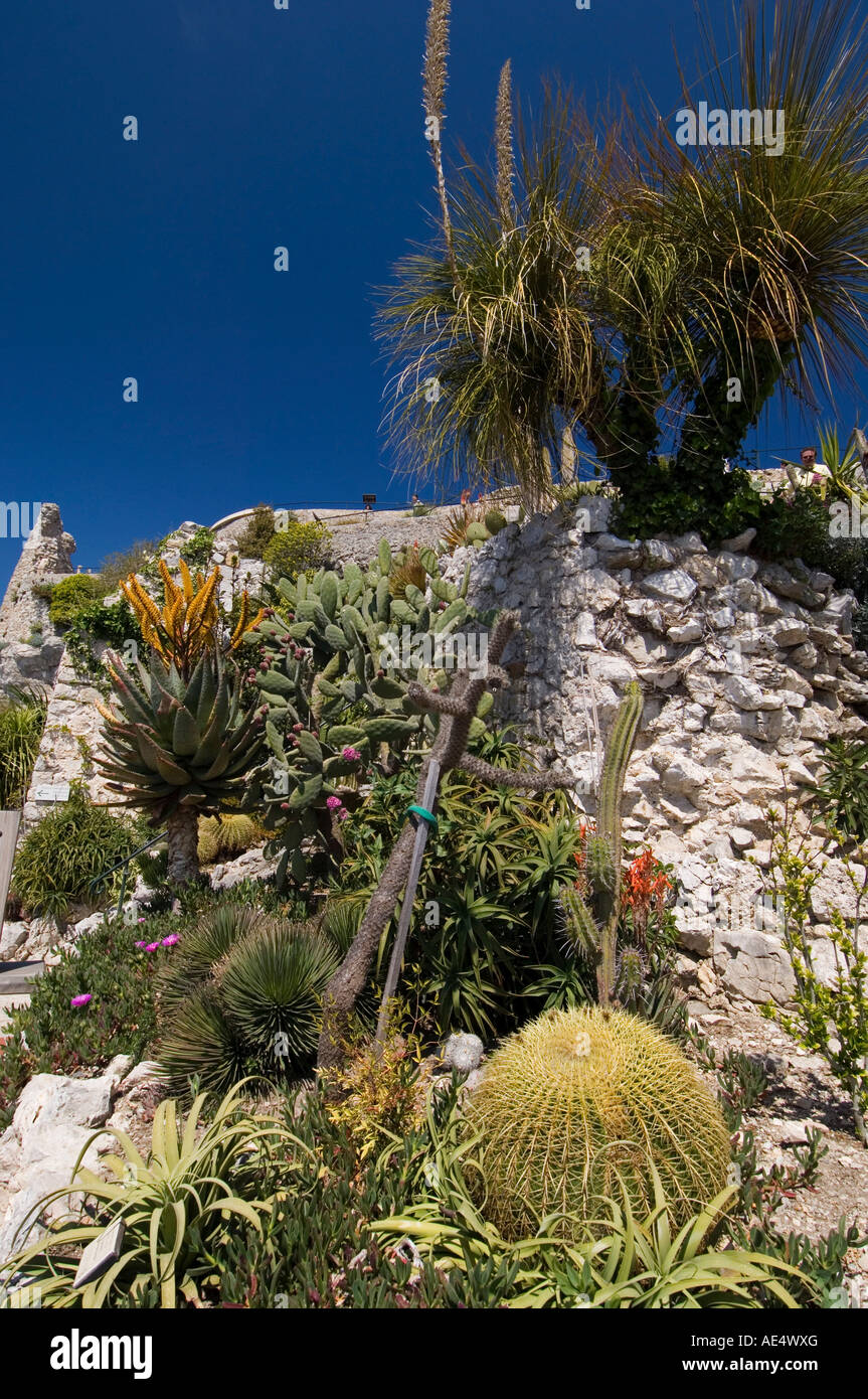 Botanischer Garten (Jardin Exotique), Eze Village, Alpes Maritimes
