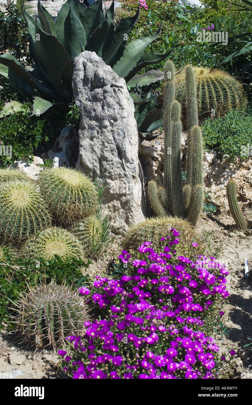 Botanischer Garten (Jardin Exotique), Eze Village, Alpes Maritimes
