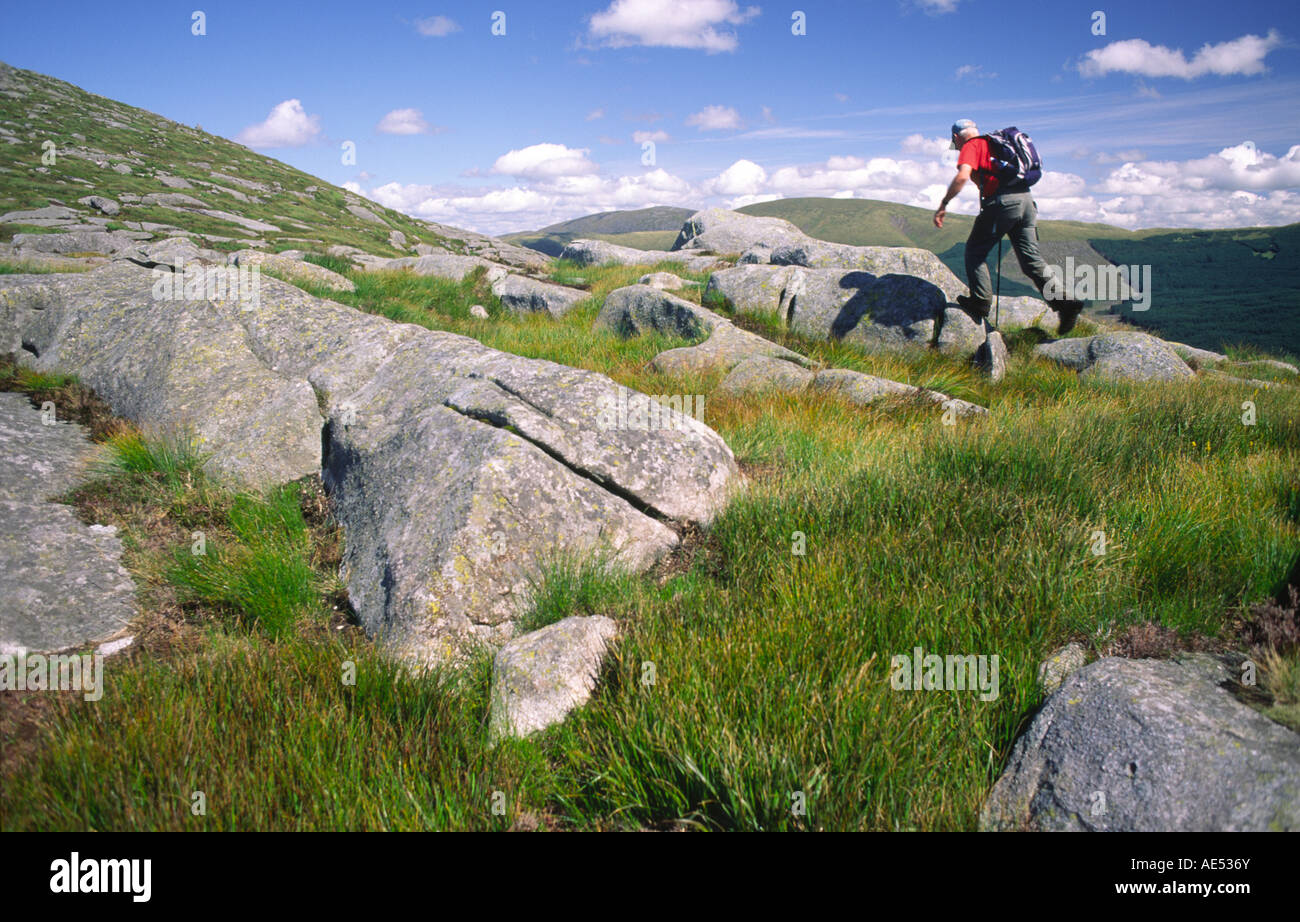 Hügel wandern Schottland Hügel Walker springen Steinen auf der Seite Snibe Hill in den Dungeon-Reihe von Hügeln Galloway Forest Park UK Stockfoto