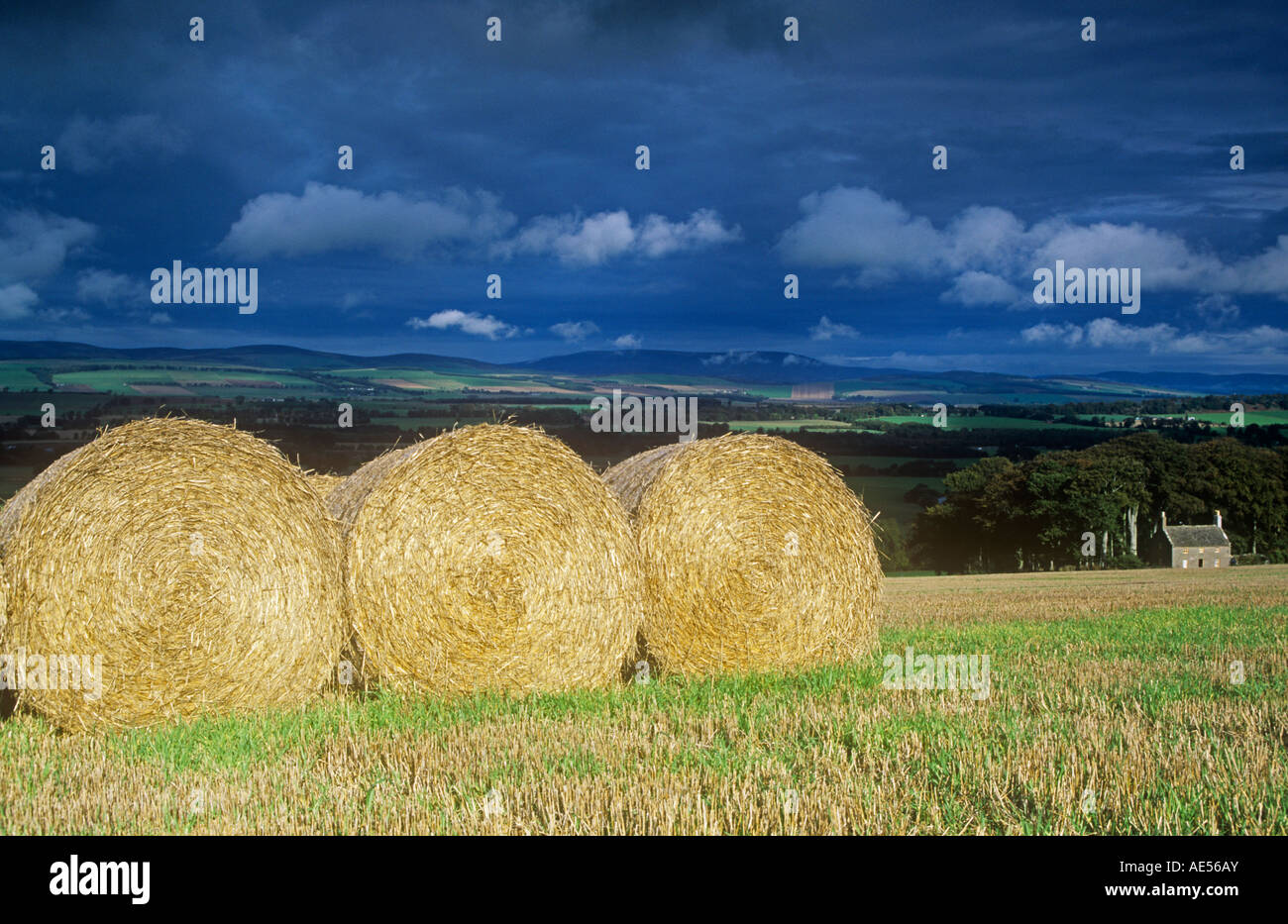 Drei große Rundballen, Hillbarns Bauernhof Stockfoto