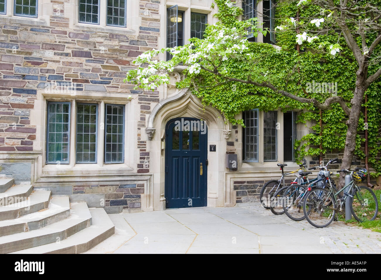 Tür zur Princeton University Dorm mit Fahrrädern - Stiftskirche gotische Architektur Stockfoto