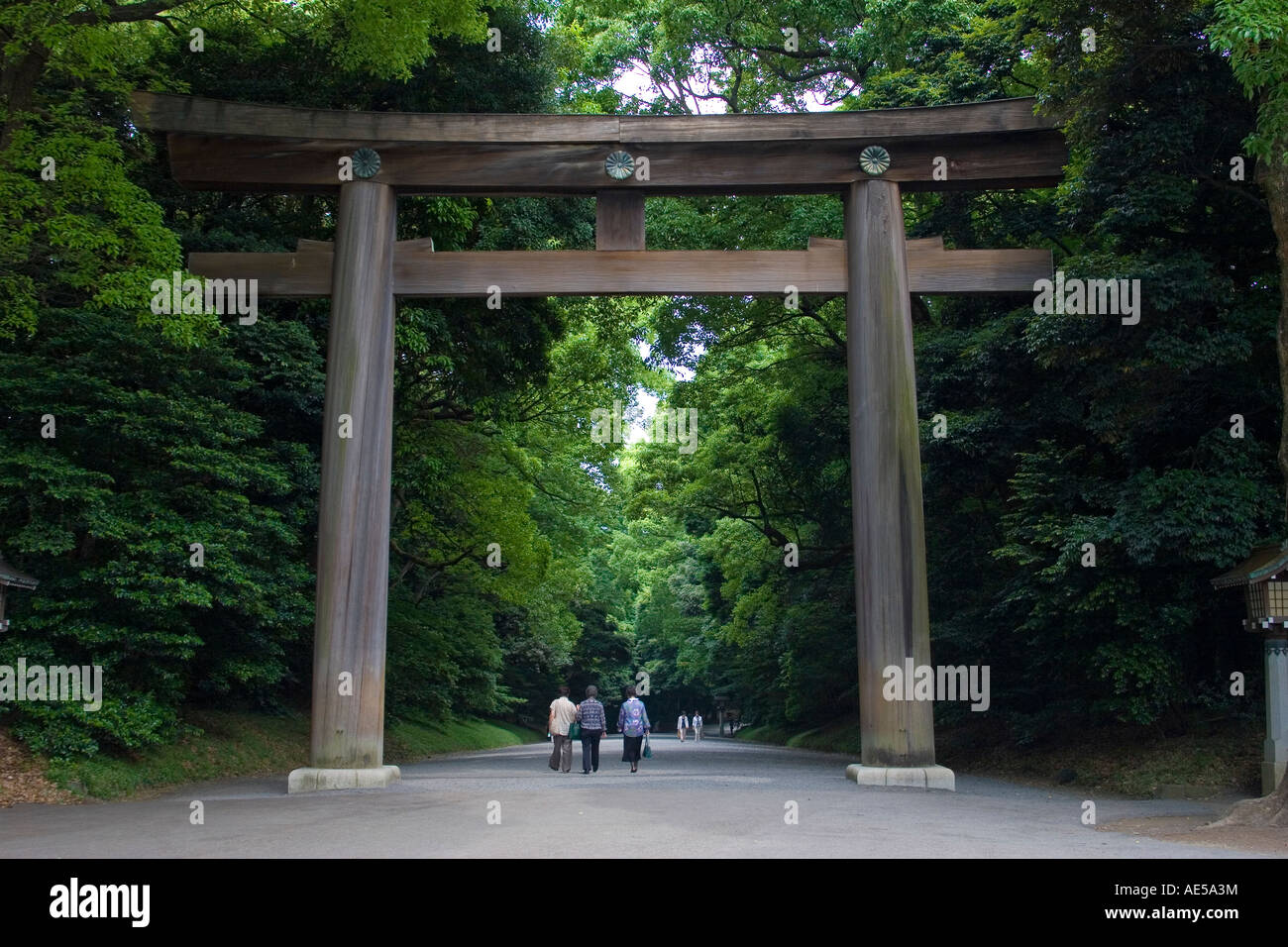 Menschen zu Fuß unter dem großen hölzernen Tori oder Tor zu den Meiji Jingu Shinto-Schrein in Tokio Stockfoto
