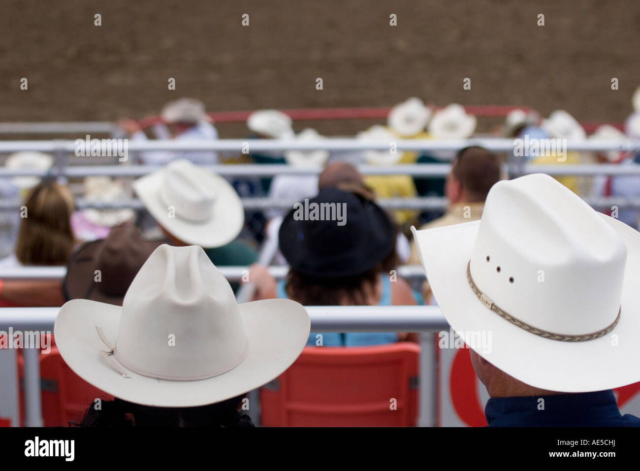 Viele Cowboyhüte unter der Menge auf der Stadion-Tribüne am California Rodeo in Salinas Stockfoto
