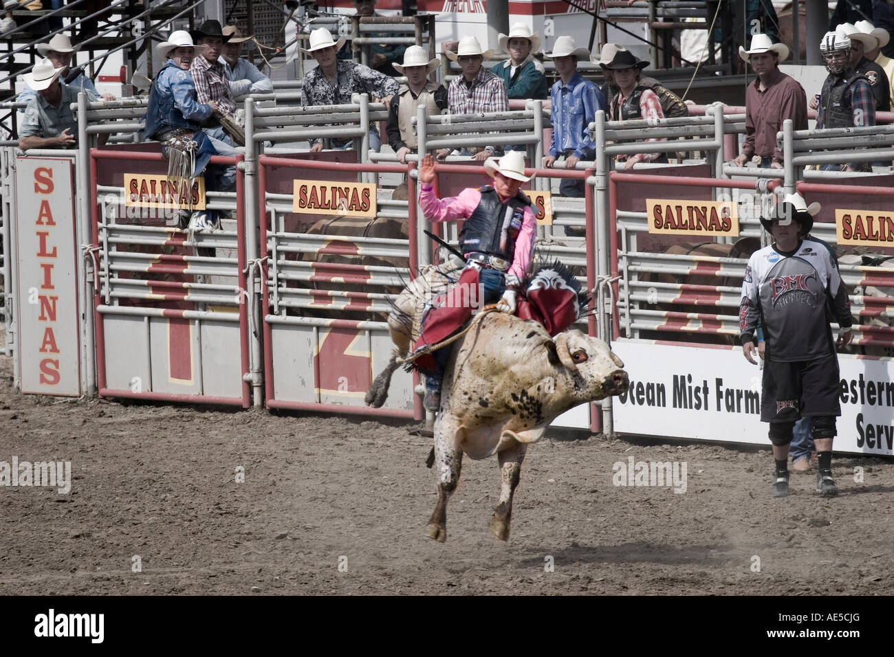 Cowboy reitet einen weißen Ruckeln Stier in die Bullenreiten Wettbewerb bei einem rodeo Stockfoto