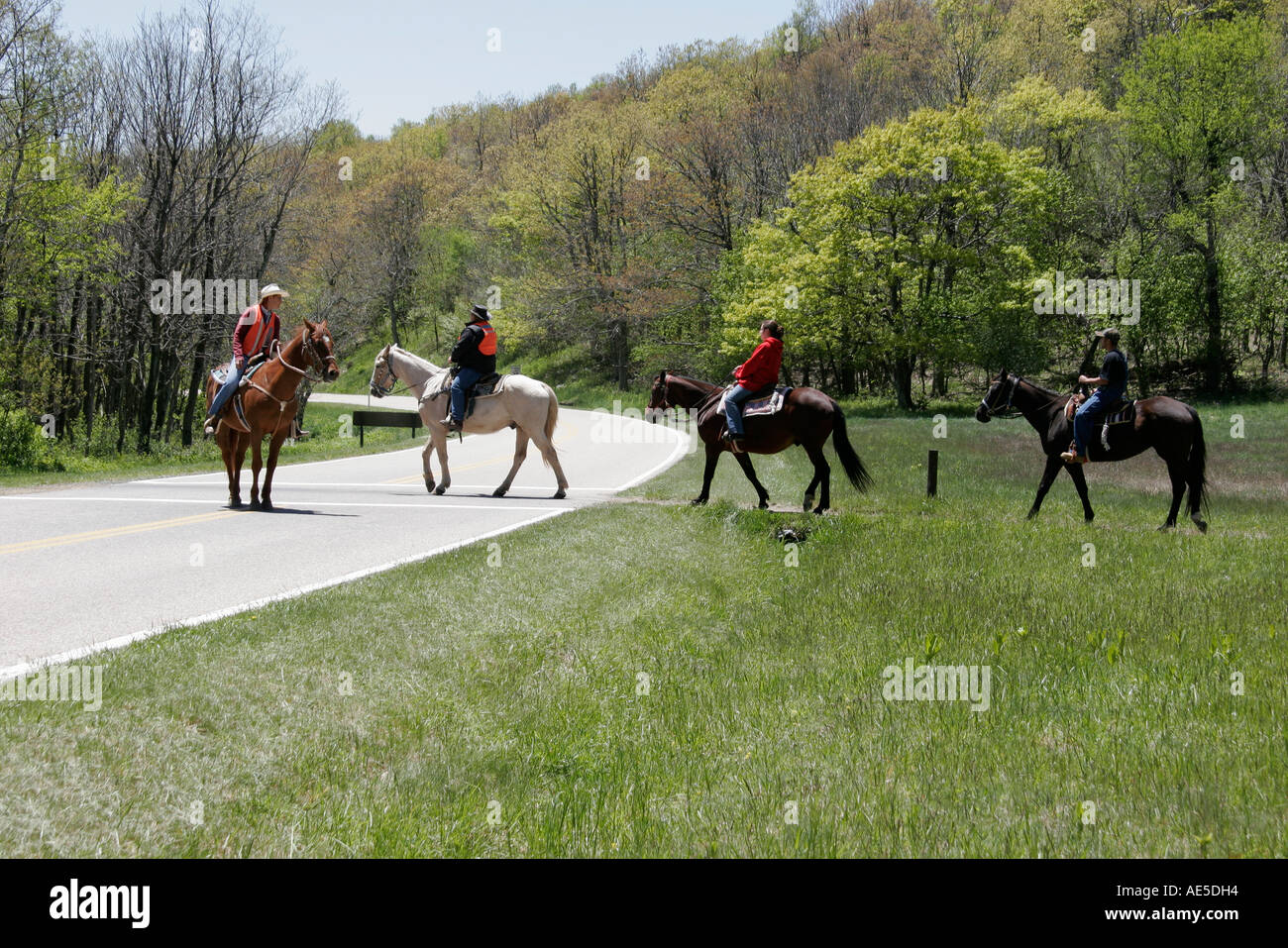 Shenandoah National Park Virginia, Meilenmarkierung 42, Crossing Skyline Drive, Pferde, Reiter, Besucher reisen Reise touristischer Tourismus Wahrzeichen Stockfoto