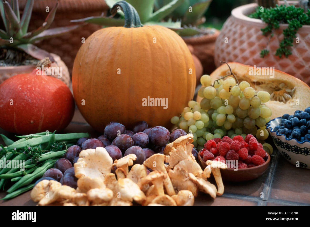 Kürbisse, Früchte und Pfifferlinge (Cucurbita spec.), (Eierschwämmen Cibarius) Stockfoto