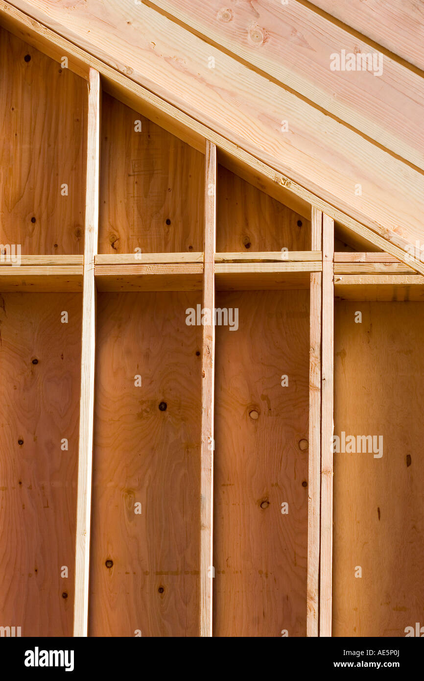Auf der Suche nach einer Reihe von Dachsparren an den Bolzen der gerahmten Wand auf einer Baustelle Stockfoto