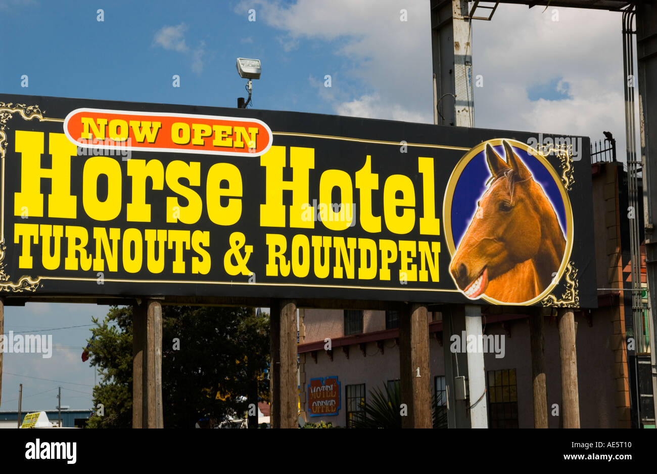 Stock Foto Pferd Hotelschild Amarillo Texas USA Stockfoto