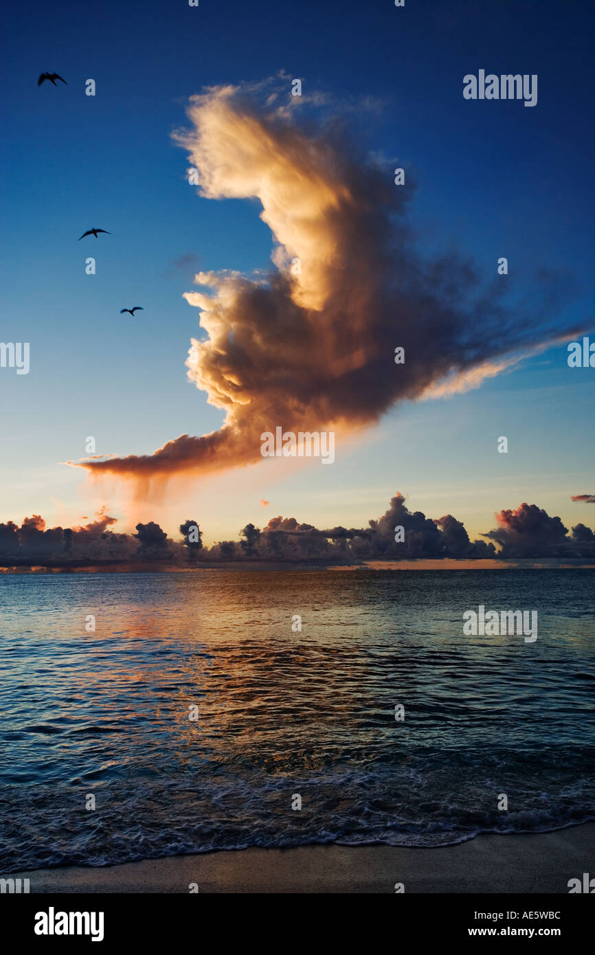 Wolken bei Sonnenuntergang mit Seevögeln über dem Ozean Seychellen Stockfoto