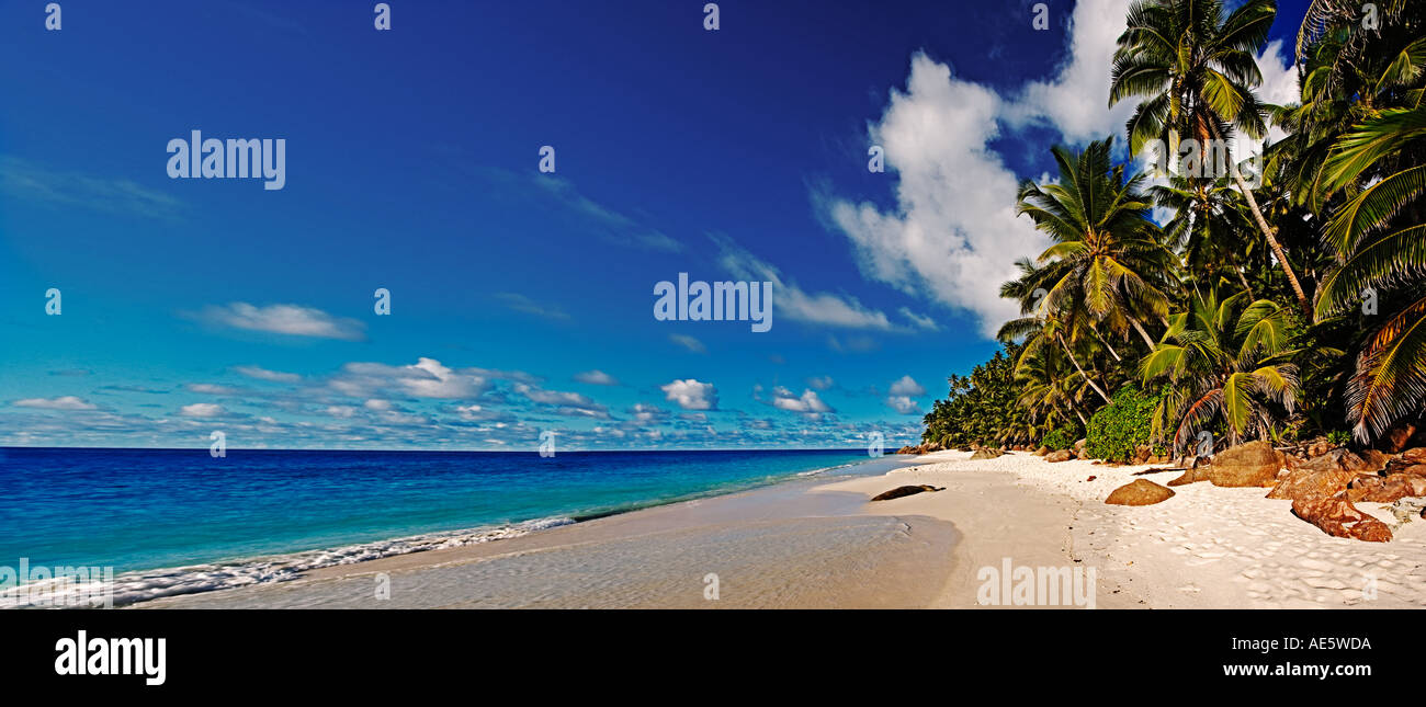 Panoramablick auf Strand und Kokospalmen Fregate Island-Seychellen Stockfoto