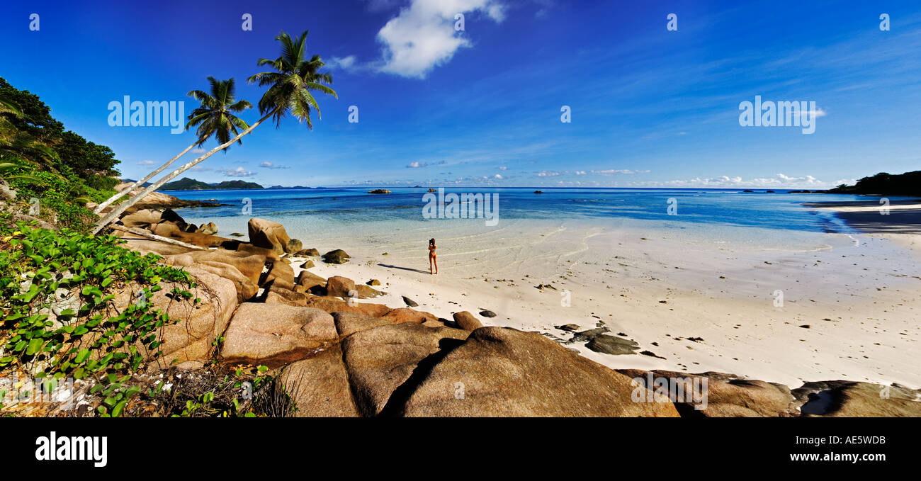 Panoramablick auf Kokospalmen und tropischen Strand La Digue Island-Seychellen Stockfoto