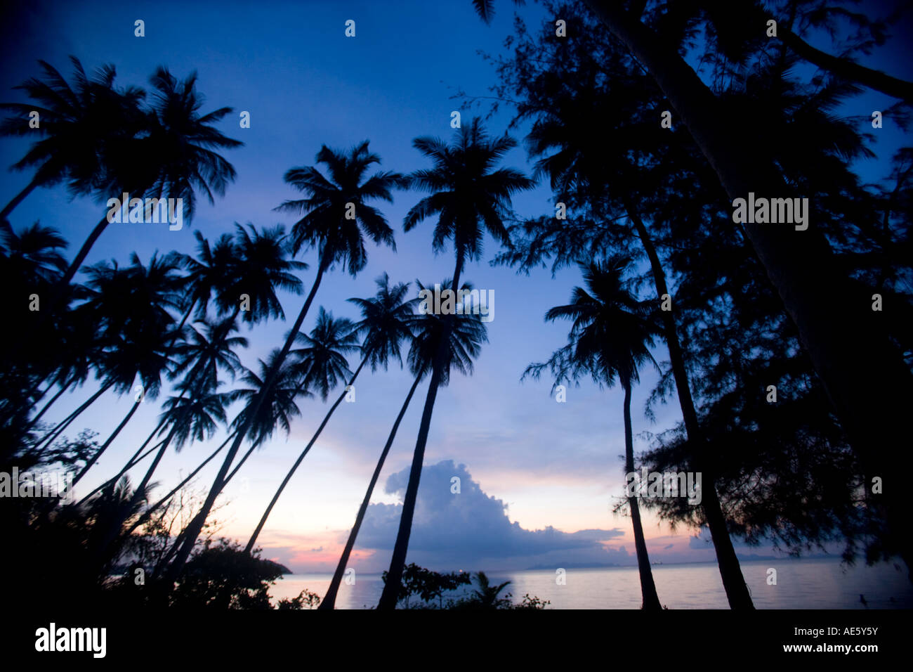 Tong yang strand Fotos und Bildmaterial in hoher Auflösung Alamy
