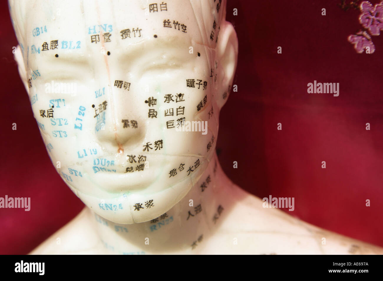 Keramik Kopf zeigt Akupunkturpunkte Stockfoto